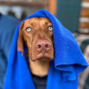 Meet your Posher, Emma